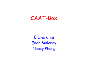 A CAAT–Box Binding Factor Gene That Regulates Seed Development