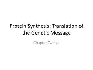 Protein Synthesis - Workforce Solutions