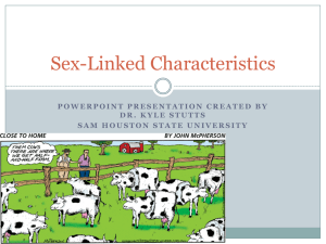 Sex-Linked Characteristics - Sam Houston State University
