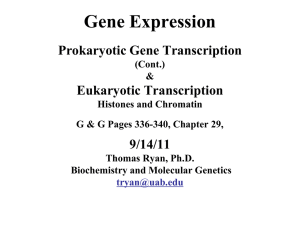 Eukaryotic Expression 1