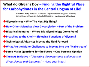 PPT File - here - Society for Glycobiology
