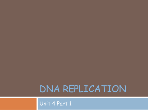 DNA Replication - Auburn City Schools