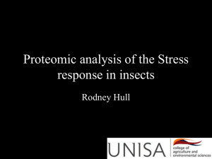 Proteomic analysis of the Stress response in insects