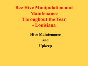 Bee Hive Manipulation Throughout the Year