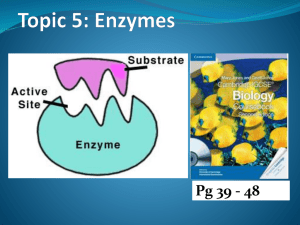 B3. Enzymes - IGCSEBiology-Dnl