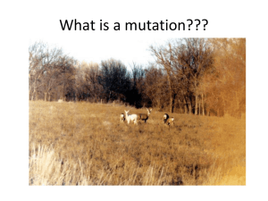 GENETIC MUTATIONS