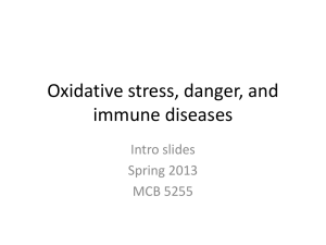 Oxidative stress, the metabolic syndrome and autoimmune disease