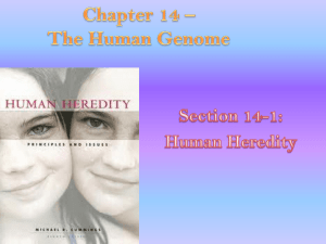 Chapter 14 * The Human Genome