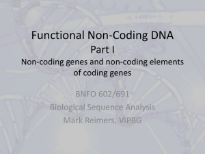 Functional non-coding DNA # 1