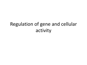 Regulation of gene activity