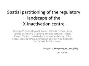 Spatial partitioning of the regulatory landscape of the X