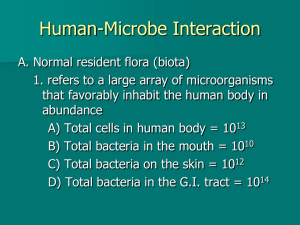 Human Microbe Interaction PowerPoints