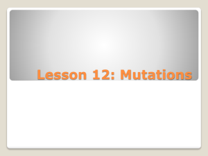 Lesson 12 Mutations