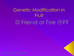 Genetic Modification in Fruit and Vegetables