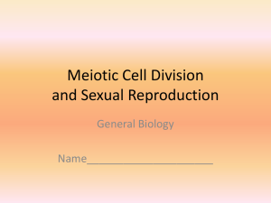 Meiotic cell division and Sexual Reprodution