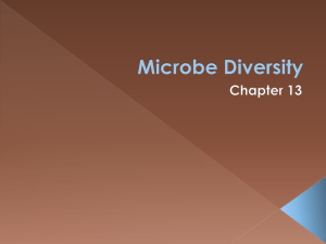 Microbe Diversity