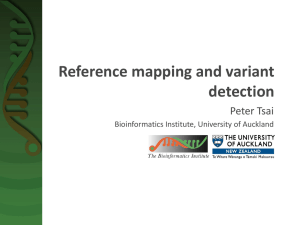 Reference mapping and variant detection