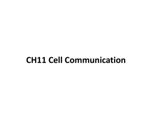 CELL COMMUNICATION