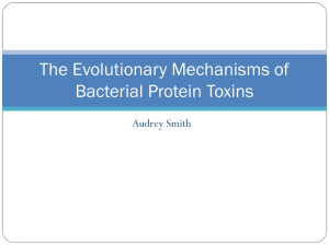 evolution_of_bacterial_protein_toxins