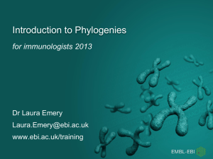 Introduction to Phylogenetics for immunologists