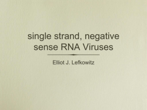 Negative Sense RNA Viruses