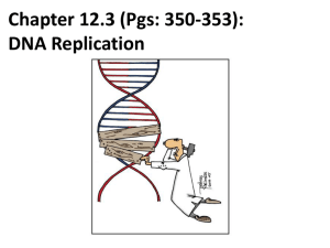 Chapter 12.3-DNA Relplication