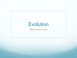 Evolution Powerpoint