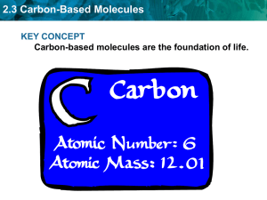 2.3 Carbon-Based Molecules - Fort Thomas Independent Schools