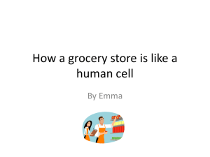 How a grocery store is like a human cell