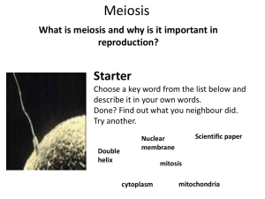 Meiosis - Rights4Bacteria