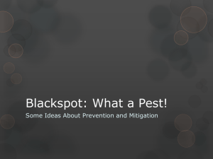 Roger Bryan`s Presentation on Blackspot - Tri