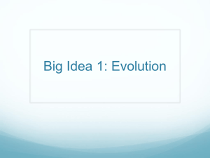 Big Idea 1: Evolution