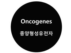 Oncogene – 종양 형성 유전자