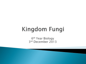 Kingdom Fungi - Science M. Cunningham