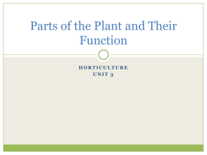 Parts of the Plant and Their Function