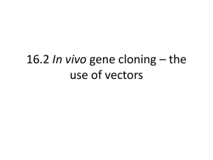16.2 In vivo gene cloning * the use of vectors