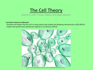 The Cell ppt..