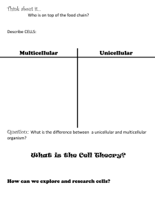 cell_theory notes