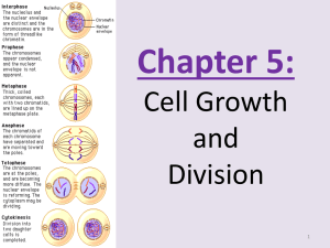 Section 5.1: The Cell Cycle