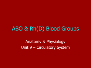 ABO & Rh(D) Blood Groups - The Naked Science Society