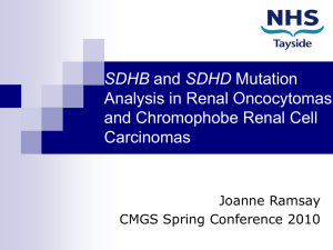 SDHB and SDHD Mutation Analysis in Renal Oncocytomas and