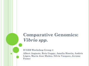 Comparative Genomics: Vibrio spp.
