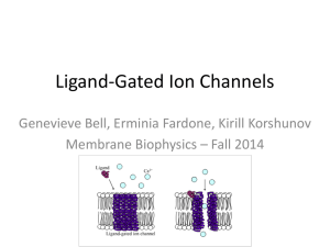 Ligand Gated Ion Channel