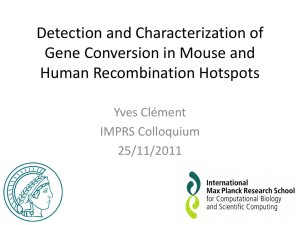 Detection and Characterization of Gene Conversion in Mouse