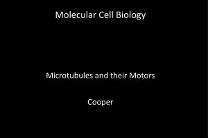 Microtubules & their Motors - Bio 5068