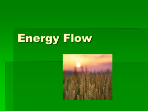 Enerergy_FlowEcosystemsb14