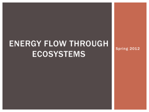 Energy Flow through ecosystems