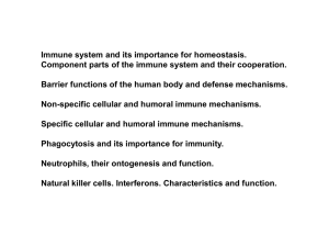 Immune system and its importance for homeostasis. Component