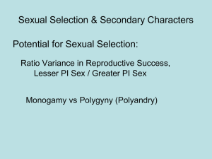 on Sexual Selection