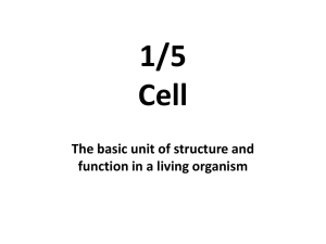 Structure Function